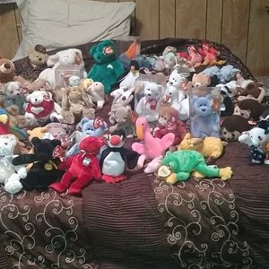 Ty beanie babies the whole 82 babies